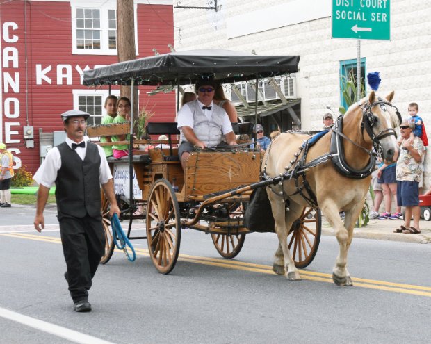 Horse and buggy
